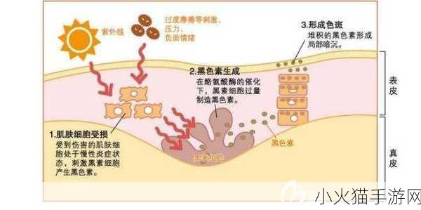 阿阿痛痛痛痛痛痛疼疼色板-1. 疼痛背后的秘密与解读