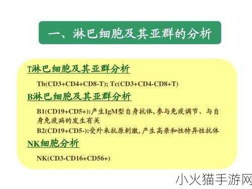 b大与小的区别在哪里-1. 大小之辩：B大与B小的核心差异解析