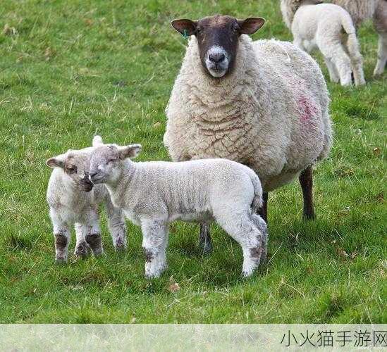 大肚子怀孕无限怀孕生孩子-1. 大肚子怀孕的奇幻旅程：无尽生命的轮回