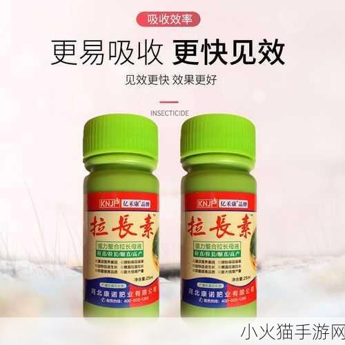 芒果草莓茄子丝瓜黄瓜2-1. 清新健康：芒果草莓与茄子丝瓜的完美搭配