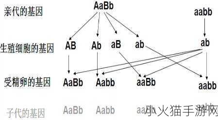 AAABBAAA和ABCD号-1. 探索AAABBAAA中的神秘信号与意义