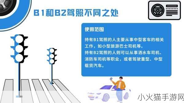 欧亚尺码专线欧洲B1B1播放更加稳定迅速-1. 欧亚尺码专线助力欧洲市场快速扩展