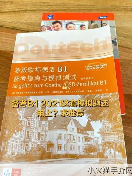 欧亚尺码专线欧洲B1B1播放更加稳定迅速-1. 欧亚尺码专线助力欧洲市场快速扩展