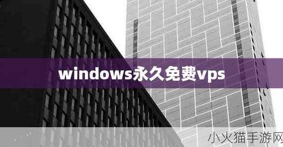 精品VPSWINDOWS好妈妈-1. 高效稳定的精品VPS Windows，助力您的商务发展