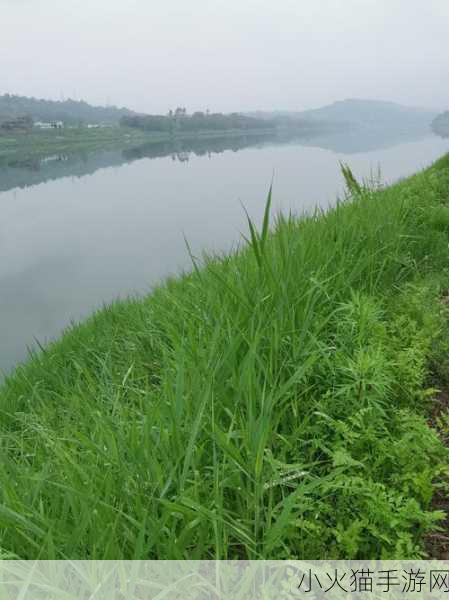 青青河边草直播免费观看-1. 青青河边草：直播带你畅游自然之美