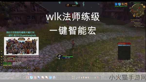 魔兽世界 WLK 奥法一键输出宏，深度解析与实战应用