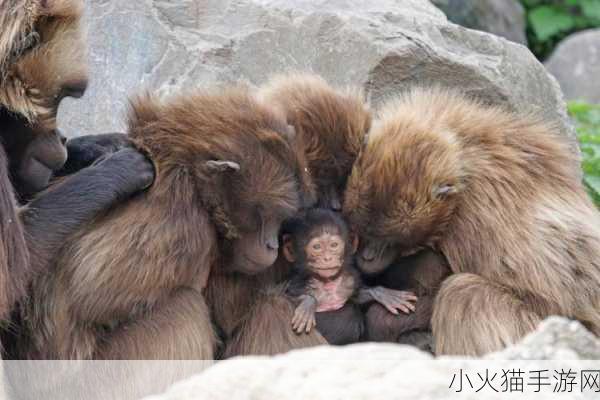 探秘动物世界，哪种动物竟不会眨眼睛？