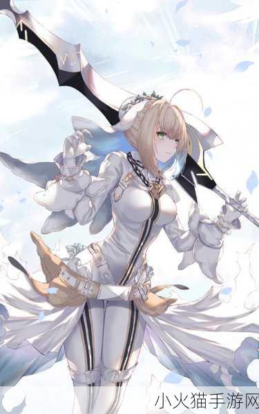 FGO 不夜蔷薇卡图与卡面，华丽背后的神秘魅力