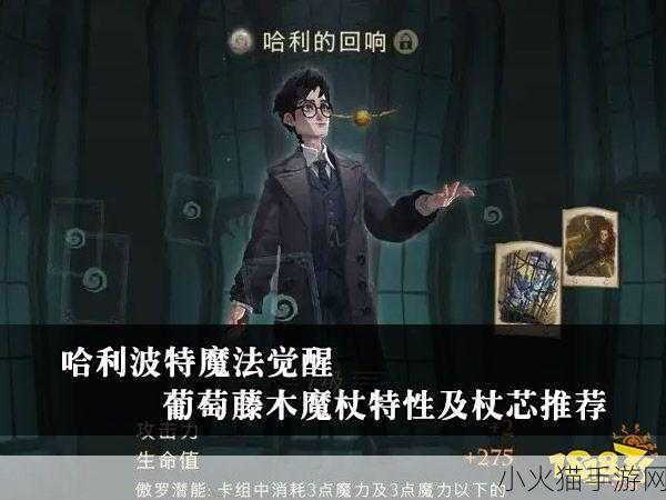 哈利波特手游中全魔杖的神秘面纱，特征与杖芯背后的巫师奥秘