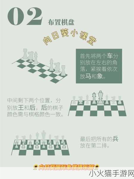 深度解析疯狂国际象棋，全方位攻略秘籍大揭秘