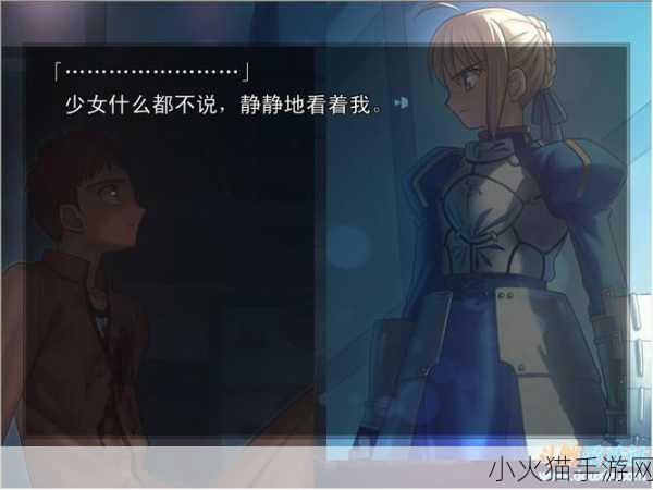 深入探索，Fate/Stay Night 复刻版的精彩玩法全解析