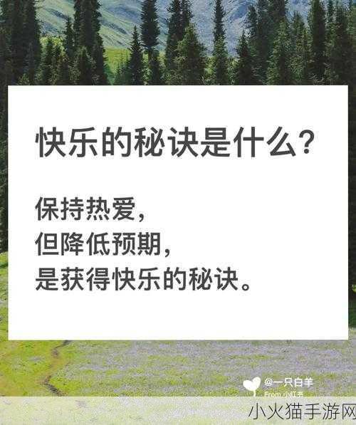 海涛的逆袭之路，手游世界中的风云崛起与快乐秘诀