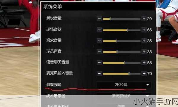 NBA2K OL 终极攻略秘籍，称霸球场的全方位指南