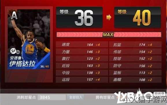 NBA2K OL 终极攻略秘籍，称霸球场的全方位指南