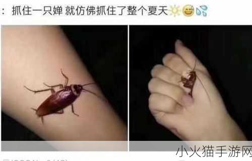 抓住绍蝉的两个球 1. ＂捉住自然奇迹：绍蝉的魅力与奥秘