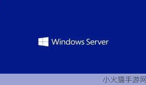 高清VPSWINDOWS的特点 1. 体验极速稳定的高清VPS Windows服务器服务