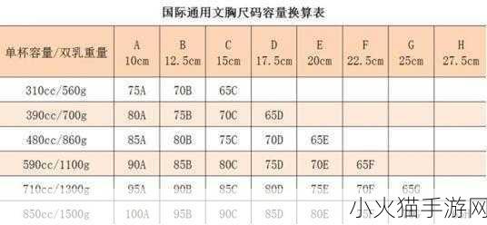 亚洲尺码欧洲尺码品牌好？亚洲尺码VS欧洲尺码 亚洲尺码与欧洲尺码的品牌选择指南