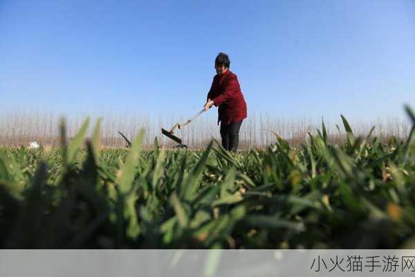 苏软软优质灌溉系统汉怡昏大地复苏 1. ＂汉怡灌溉：复苏大地的新生力量