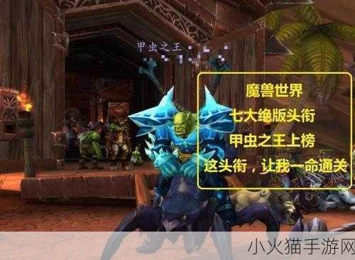 深度解析魔兽世界甲虫之王成就的达成之道