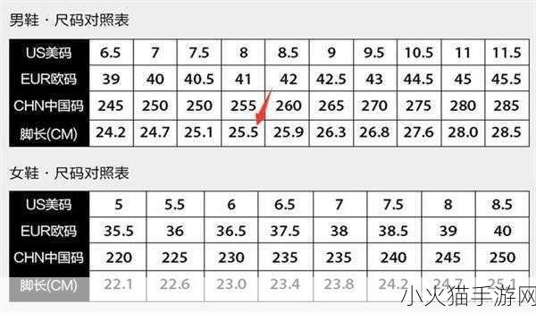 国内尺码和欧洲尺码表黑 国内尺码与欧洲尺码对照解析指南