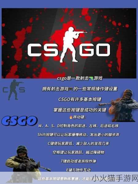 国外真人CSGO视频 1. ＂成为CSGO高手：揭秘国外真人对战的技巧与策略