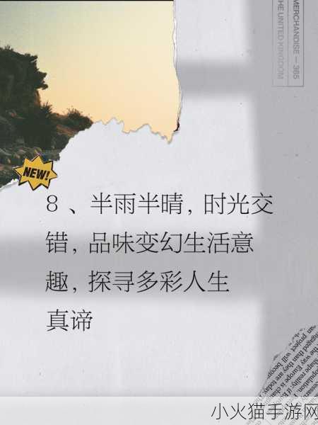 需要一半留下一半打一字 半留一字，拓展无限可能的创意世界