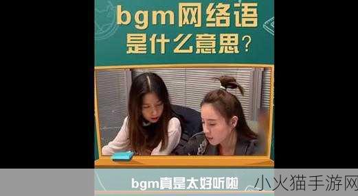 多毛BGMBGMBGM胖日韩 1. 多毛BGMBGMBGM胖：日韩文化的奇妙交汇