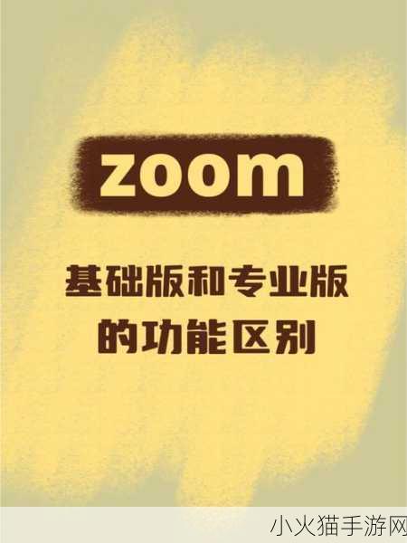 Zoom与牛性胶ZOOm区别 Zoom与牛性胶ZOOm的区别及应用解析