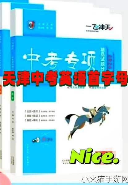 暴躁老阿姨csgo技巧大全 1. 暴躁老阿姨教你如何在CS：GO中掌握投掷物技巧