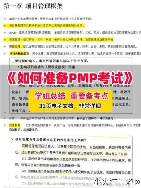 深入浅出PMP不慎意外走红 1. 《轻松掌握PMP：从入门到精通的全攻略