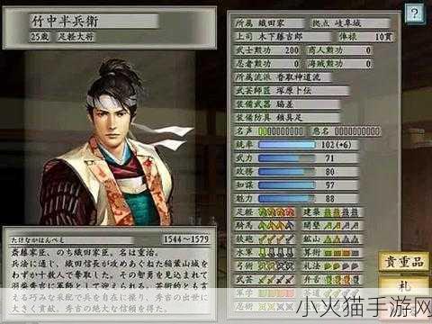 太阁立志传 5宫本武藏的传奇之旅，从浪人到剑圣的辉煌历程