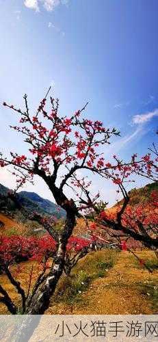 桃花洞口已是溪水潺潺乡村风情 1. 潺潺溪水映桃花，乡村风情悠然绽放