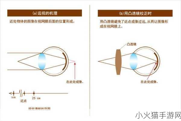 探索近视眼镜镜片的奥秘，凹透镜与凸透镜之辩