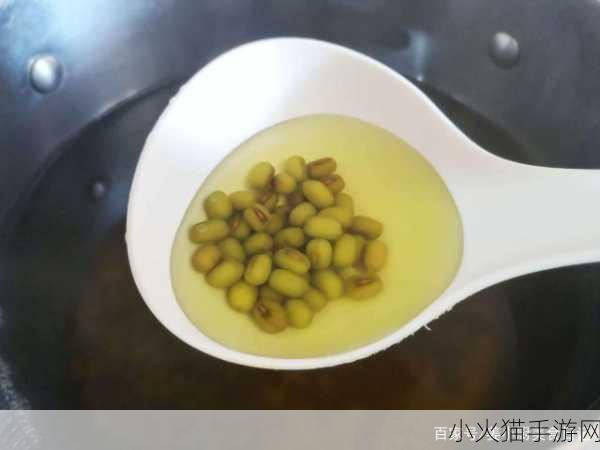 探索绿豆汤的碧绿秘诀，正确操作大揭秘