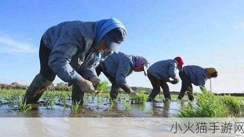 夫妻之间的100种插秧法 1. 夫妻间默契的插秧法：共同成长的新颖策略