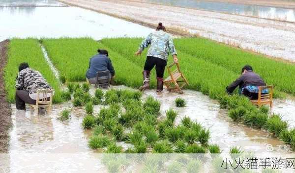 夫妻之间的100种插秧法 1. 夫妻间默契的插秧法：共同成长的新颖策略