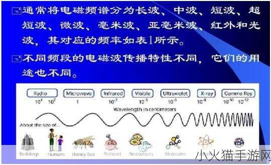 75欧射频线和65欧射频线区别全解析 75欧和65欧射频线的性能差异全面解析与应用指南