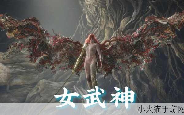 艾尔登法环女武神的弱点全解析