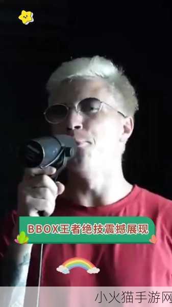 bbox撕裂bass 1. 深入探讨BBOX撕裂Bass的音乐魅力与技术