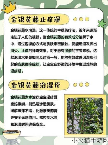 双管齐下TXL金银花 1. 双管齐下：TXL金银花的全面利用与发展