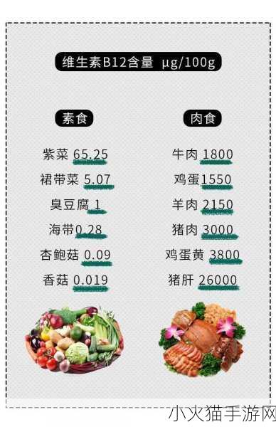 肉食教师食取报告3HD 1. 《肉食教师：探索饮食与教育的奇妙结合