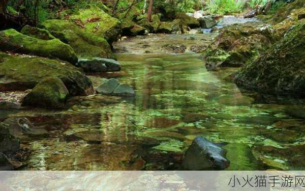 让我流水水的一千字 1.流水的诗意：在水中寻找灵感与自由