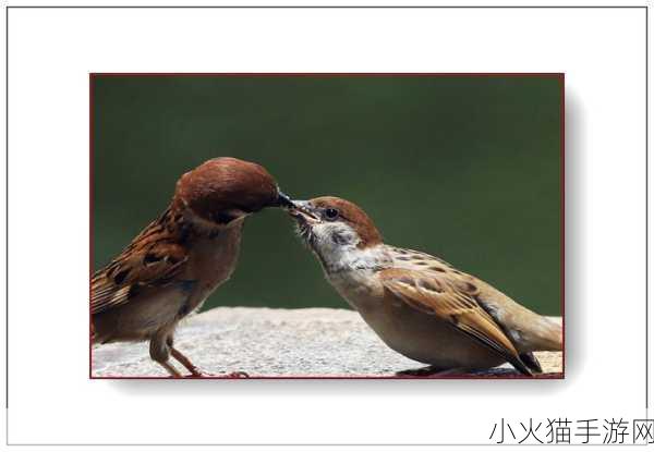 东北那旮瘩母与子写的什么 当然可以！以下是一些基于《东北那旮瘩母与子》的新标题建议，字数不少于十个：