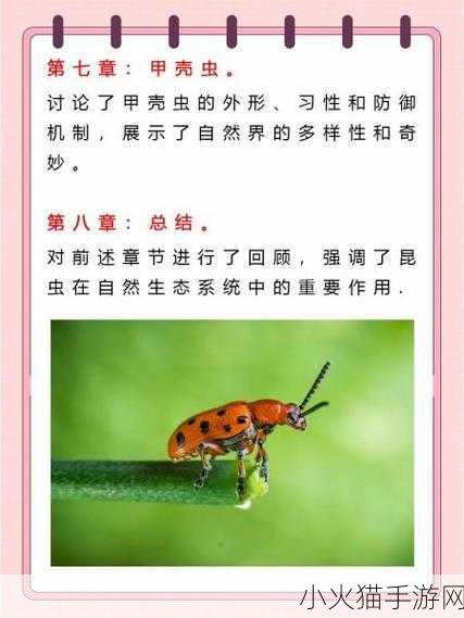 手游中的奇妙策略，蚊子与蚂蚁夹击之谜