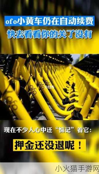 OFO 仍在自动续费之谜，深度剖析背后原因