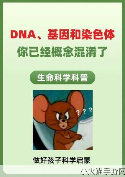 母亲dna和儿子dna一样不 母亲与儿子DNA相同的科学探讨