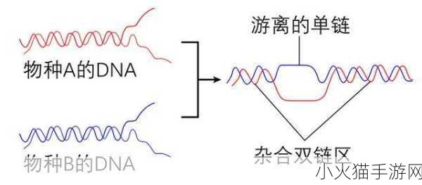 母亲dna和儿子dna一样不 母亲与儿子DNA相同的科学探讨