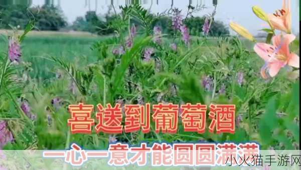 野花日本韩国视频免费高清观看宣布免费 1. 体验自然之美：野花日本韩国视频免费高清尽享