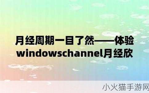 WINDOWSCHANNEL国产APP 1. ＂探索WINDOWSCHANNEL：国产应用的全新体验