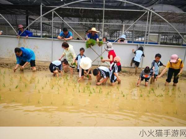 情侣的100种插秧方法 1. 情侣间的默契：100种浪漫插秧方式